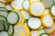 Goldprize Straightneck, Summer Squash Seeds, ANNUAL VEGETABLE ! - Caribbean garden seed
