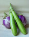 Green Eggplant Seeds (LONG GREEN) Asian Vegetable. - Caribbean garden seed