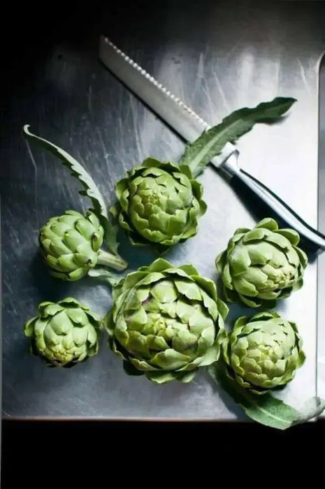 GREEN GLOBE ARTICHOKE Vegetable Seeds,  (Cynara scolymus)Heirloom  Perennial - Caribbean garden seed