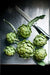 GREEN GLOBE ARTICHOKE Vegetable Seeds,  (Cynara scolymus)Heirloom  Perennial - Caribbean garden seed