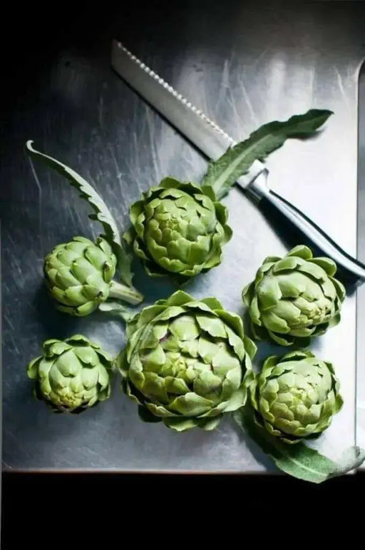 GREEN GLOBE ARTICHOKE Vegetable Seeds,  (Cynara scolymus)Heirloom  Perennial - Caribbean garden seed