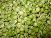 GREEN PEAS/VATANA (4LBS) SPROUTING SEEDS - Caribbean garden seed