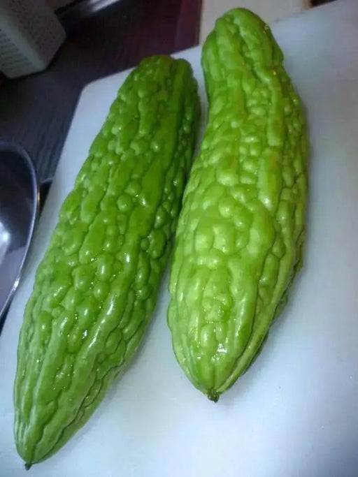 Green SKIN Bitter Gourd Hybrid, Bitter Gourds Seeds - Asian vegetable - Caribbean garden seed