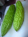 Green SKIN Bitter Gourd Hybrid, Bitter Gourds Seeds - Asian vegetable - Caribbean garden seed