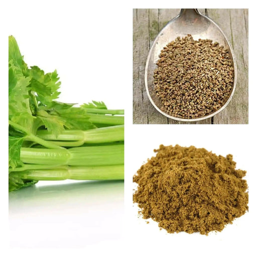 Ground Celery Seeds, the earthy, savory spice. - Caribbean garden seed