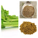 Ground Celery Seeds, the earthy, savory spice. - Caribbean garden seed