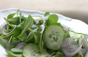 GREEN Purslane Seeds - Succulent Herb - Caribbean garden seed