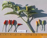 GUAM BOONIE  ,HOT PEPPER Seeds (Capsicum frutescens) - Caribbean garden seed
