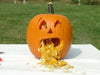 Halloween Pumpkin, 'Jack O' Lantern' (Winter Squash Seeds) - Caribbean garden seed