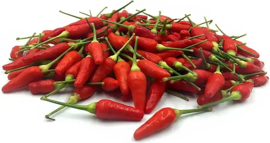 HAWAIIAN SWEET HOT (Pepper Seed) Capsicum frutescens, HEIRLOOM - Caribbean garden seed