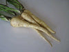 Harris Model Parsnips ,VEGTABLE Seeds - Caribbean garden seed