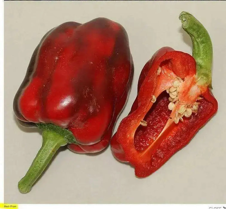 Hei-Fun bell Pepper ( 10 Seeds)Capsicum Annuum, Asian Vegetable - Caribbean garden seed