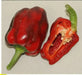 Hei-Fun bell Pepper ( 10 Seeds)Capsicum Annuum, Asian Vegetable - Caribbean garden seed