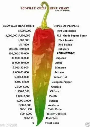 HAWAIIAN RED KONA -Pepper Seed, Capsicum frutescens - Caribbean garden seed