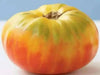 HEIRLOOM TOMATO ,Mr. Stripey, Solanum lycopersicum \ variety of beefsteak tomato,  Great For Sandwiches, salads,Slicing - Caribbean garden seed