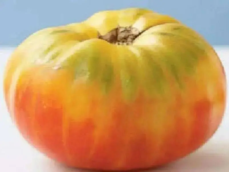 HEIRLOOM TOMATO ,Mr. Stripey, Solanum lycopersicum \ variety of beefsteak tomato,  Great For Sandwiches, salads,Slicing - Caribbean garden seed