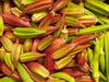 Hill Country Okra , Bhindi , Gumbo , Abelmoschus Esculentus, Lady's Fingers, - Caribbean garden seed