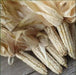 Hickory King White Corn Seeds - Heirloom - Caribbean garden seed