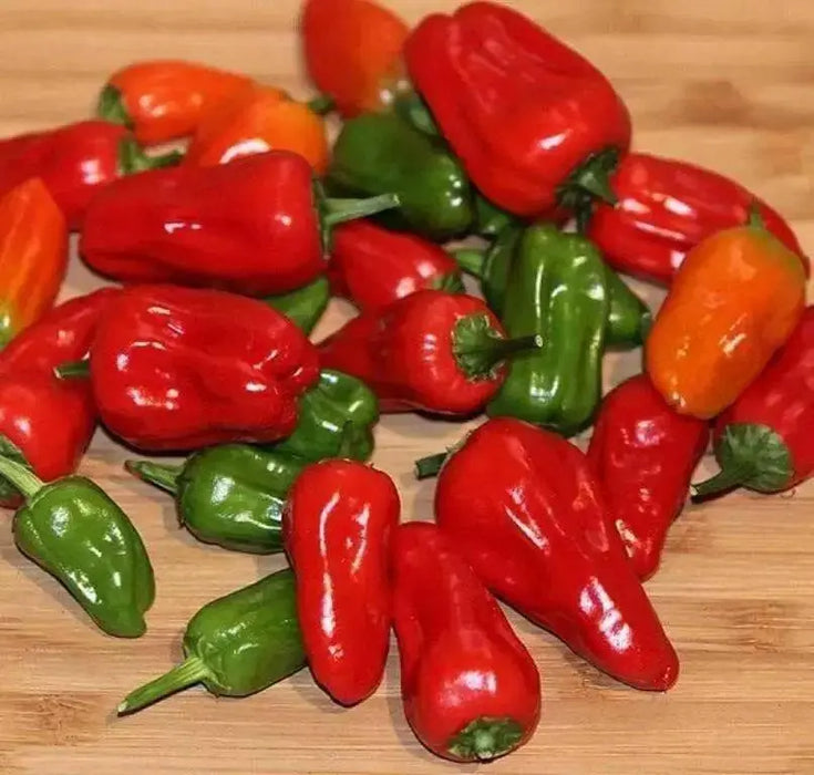 Hinkelhatz Pepper SEEDS (Capsicum annuum)  From Pennsylvania - Caribbean garden seed