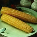 Honey and Cream Corn Seed, Sweet taste and easy to grow in small patches, great for home gardeners - Caribbean garden seed