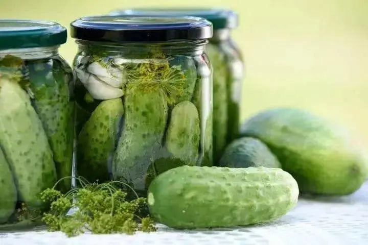 Homemade Pickles' Cucumber Seeds - 'Heavy yielding variety - Caribbean garden seed