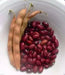 Hopi Red pole Kidney Beans. Organically Grown Heirloom Seeds ! - Caribbean garden seed