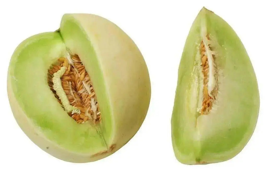 Honeydew Melon Seed - Grow In the garden, in containers, on balconies or porches HEIRLOOM , Organic,Utreated Non gmo - Caribbean garden seed