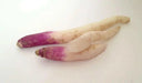 Hinona Kabu Turnip Seeds ,Asian Vegetable - Caribbean garden seed