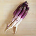 Hinona Kabu Turnip Seeds ,Asian Vegetable - Caribbean garden seed