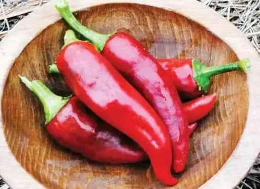 Hungarian Paprika ,PEPPER SEEDS, Capsicum annuum - Caribbean garden seed