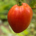 Hungarian Heart Tomato Seeds ( Lycopersicon lycopersicum) Open Pollinated ,Heirloom, Organic ! Super Sweet - Caribbean garden seed