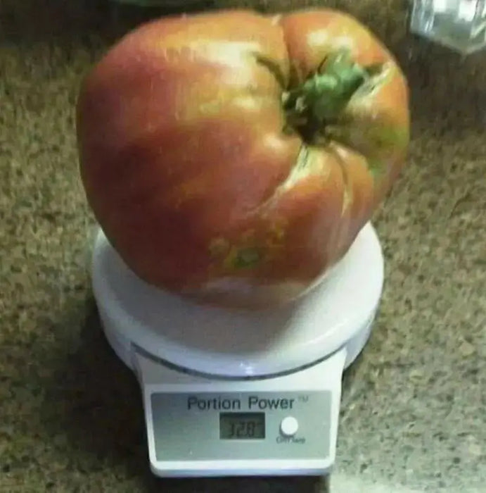 Hungarian Heart Tomato Seeds ( Lycopersicon lycopersicum) Open Pollinated ,Heirloom, Organic ! Super Sweet - Caribbean garden seed