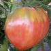 Hungarian Heart Tomato Seeds ( Lycopersicon lycopersicum) Open Pollinated ,Heirloom, Organic ! Super Sweet - Caribbean garden seed