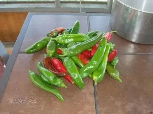 Hot Pepper Seeds - 'Anaheim Chile' - 1 oz Approximately 3,500 seeds - Caribbean garden seed