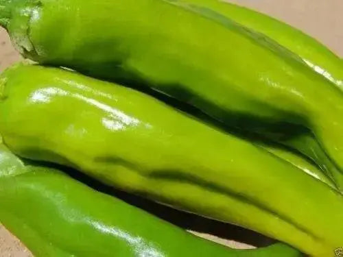 Hot Pepper Seeds - 'Anaheim Chile' - 1 oz Approximately 3,500 seeds - Caribbean garden seed