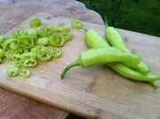 Hungarian Wax Hot'  Pepper PLANTS, 3'POT, Capsicum annuum - Caribbean garden seed