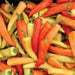 Hungarian Wax Hot'  Pepper Seeds, Capsicum annuum - Caribbean garden seed