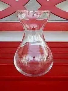 Hyacinth Forcing Clear Vase - Caribbean garden seed