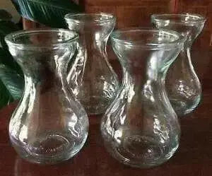 Hyacinth Forcing Clear Vase - Caribbean garden seed