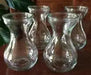 Hyacinth Forcing Clear Vase - Caribbean garden seed