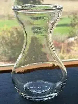 Hyacinth Forcing Clear Vase - Caribbean garden seed