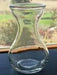 Hyacinth Forcing Clear Vase - Caribbean garden seed