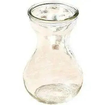 Hyacinth Forcing Clear Vase - Caribbean garden seed