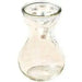Hyacinth Forcing Clear Vase - Caribbean garden seed