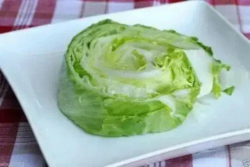 Iceberg HEADING Lettuce , VEGETABLE Seeds - Caribbean garden seed