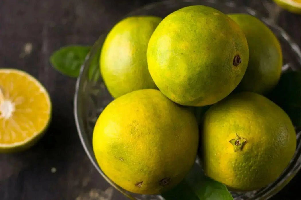 indian sweet lime seeds, tropical fruit TREE - Caribbean garden seed