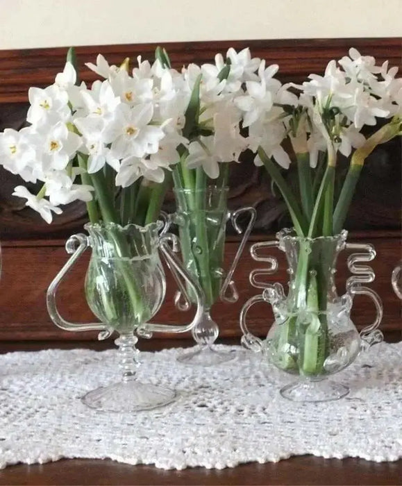 INDOOR Paperwhite, GREAT INDOOR, Narcissus bulbs - Caribbean garden seed