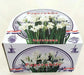 Indoor Growing Kit with Delft Ceramic Bowl, 3 Paperwhite Narcissus Bulbs - Caribbean garden seed