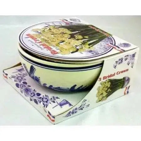 Indoor Growing Kit with Delft Ceramic Bowl, 3 Paperwhite Narcissus Bulbs - Caribbean garden seed