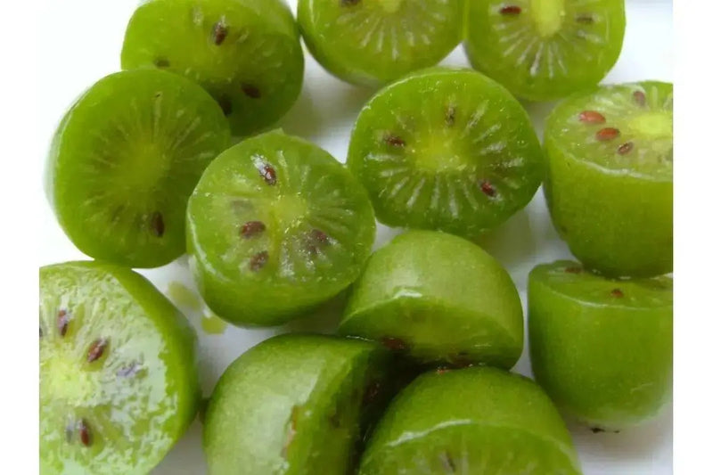 Issai Hardy Kiwi Vine (Live plants) Perennial Vine - Caribbean garden seed